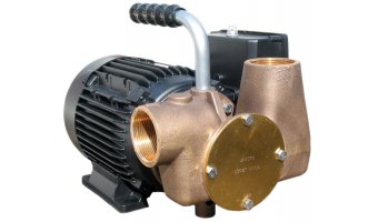 Jabsco P80 230V Oil Transfer Pump | 53081-2053-230